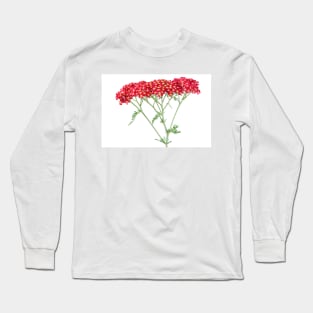 Achillea &#39;Fanal&#39; Yarrow Syn. Achillea &#39;The Beacon&#39; Long Sleeve T-Shirt